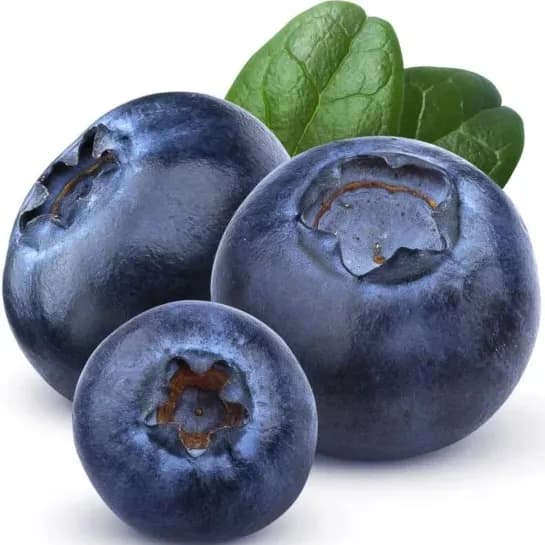 میوه بلوبری سبز بری جامبو 125گرم